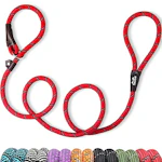 Slip Lead Dog Leash