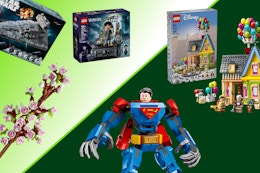 Amazon Prime Day Lego Deals: Prices Start at $7.79 card image