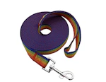 Dog Training Leash