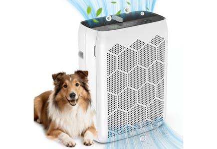Teendow Air Purifier