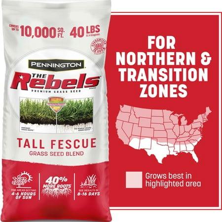 Tall Fescue Grass Seed