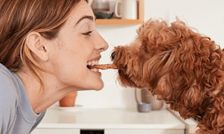a person giving their dog a dog treat
