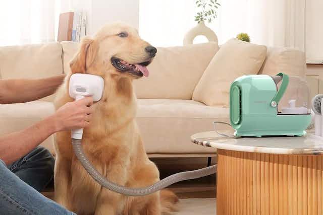 Dog Grooming Vacuum Kit, Only $48.59 on Amazon (Reg. $140) card image