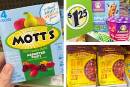 Dollar Tree Fetch Rewards Deals: $0.33 Mott's Fruit Snacks and More card image