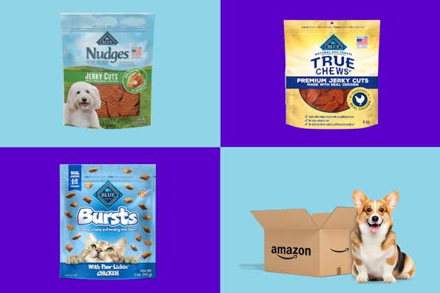 Blue Buffalo Pet Treats: Prices Start at $2.12 for Amazon Pet Day card image