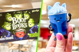 Wendy's Boo Books — FREE Frostys and $1.99 Kids' Meal With New Spooky Toys card image