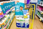 angel soft, mr. clean, sparkle products in shopping cart