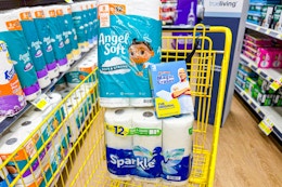 angel soft, mr. clean, sparkle products in shopping cart