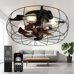 Ceiling Fan with Lights