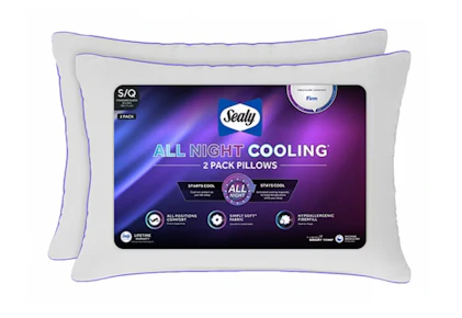 Sealy Pillow Set