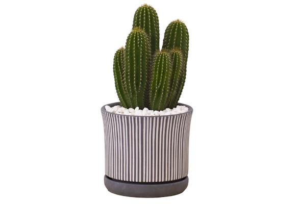 Better Homes & Gardens Planter