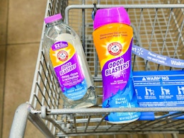 2 Arm & Hammer Laundry Products in Walmart shopping cart