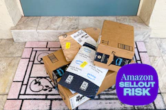 amazon-sellout-risk-6