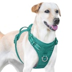 No Pull Dog Harness