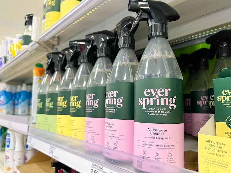 everspring-all-purpose-cleaner-target3