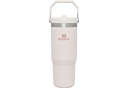 Stanley Tumbler
