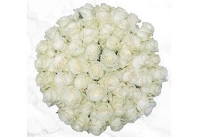 50-Stem White Roses