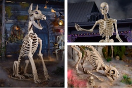 skelly with skelly dog and skelly cat