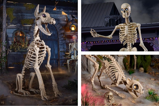 skelly with skelly dog and skelly cat