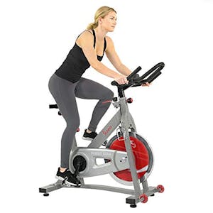 Pro II Indoor Cycling Bike