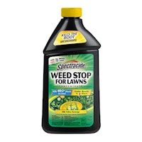 Spectracide Weed Stop Concentrate