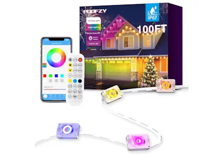 Permanent Outdoor Lights