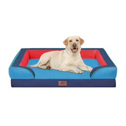 Orthopedic Dog Bed