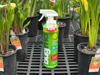 BugMC Spray next to plants in Walmart's garden section