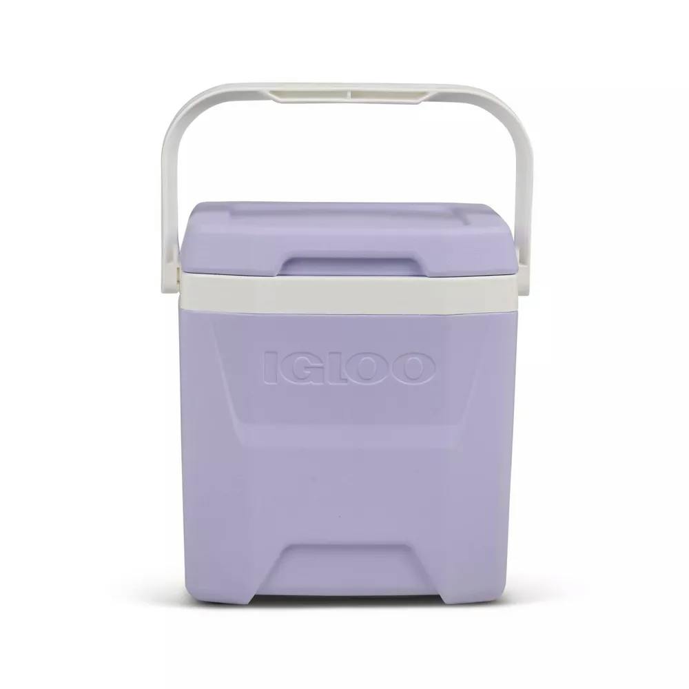 Igloo Cooler