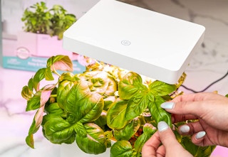 amazon back to roots kit 2023 1 1681562193 1681562193