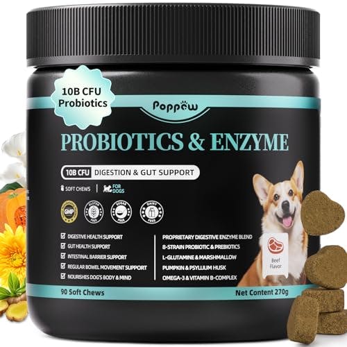 Probiotics for Dogs