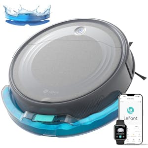 Robot Vacuum and Mop