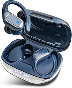 Wireless Earbuds