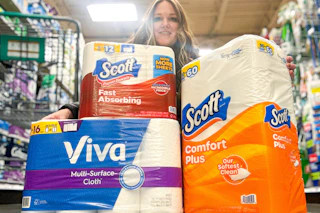 scott toilet paper and viva paper towels kcl model