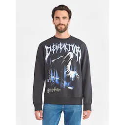 Harry Potter Men's Sweatshirt