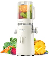 Cold Press Juicer & Sorbet Maker