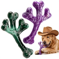 Dog Chew Toys 2-Pack