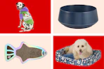 collage image of a cat scratcher, food bowl, dog in a dog bed, and dog wearing a buzz lightyear hoodie