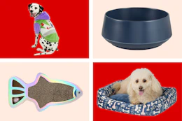 collage image of a cat scratcher, food bowl, dog in a dog bed, and dog wearing a buzz lightyear hoodie