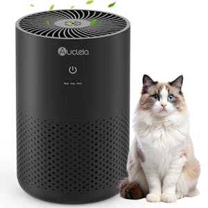 Air Purifier for Bedroom