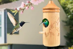 hummingbirds in a small house