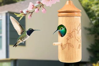 hummingbirds in a small house