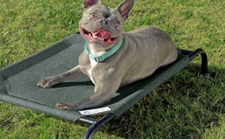 screen shot 2023 10 03 at 75329 am 1696338185 1696338185