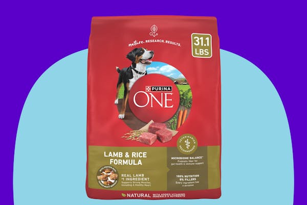 31-Pound Bag of Purina One Dry Dog Food, $37 With Amazon Coupon (Reg. $59)