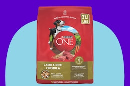 31-Pound Bag of Purina One Dry Dog Food, $37 With Amazon Coupon (Reg. $59) card image