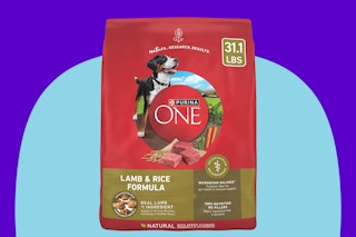 Purina One Dry Dog Food