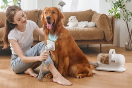 Pet Grooming Kit With Vacuum, Now $89.99 on Amazon (Reg. $180) card image