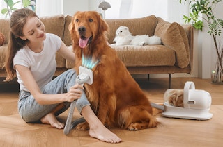 Pet Grooming Kit