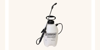 chapin-amazon