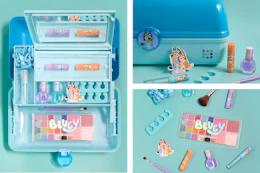 walmart bluey x caboodles organizer